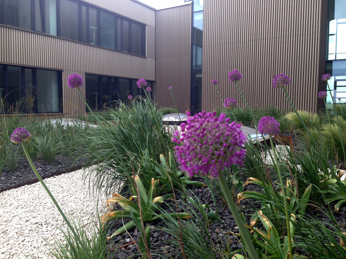 Ein Foto von Alice Größinger