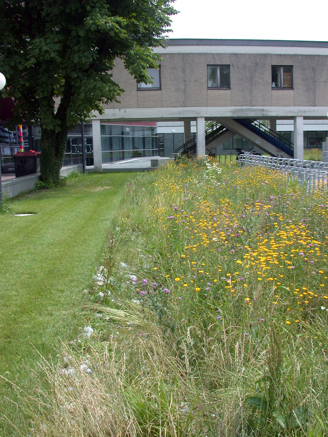 Ein Foto von Andrew Phelps