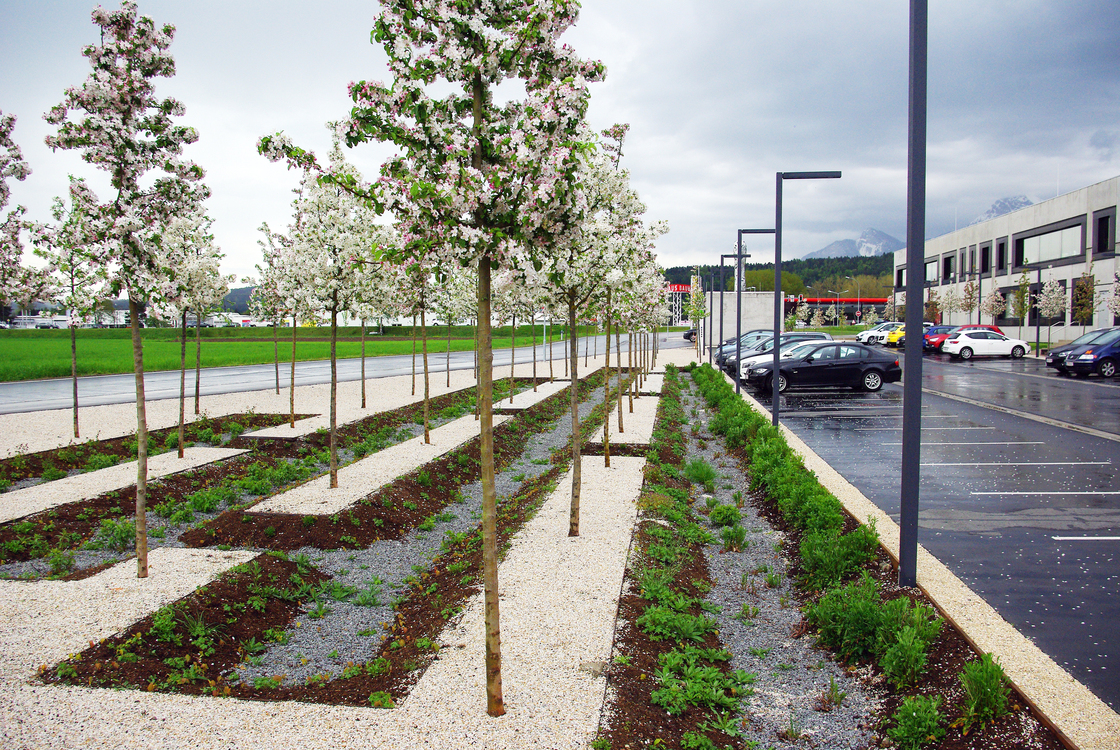 Ein Foto von 3:0 Landschaftsarchitektur