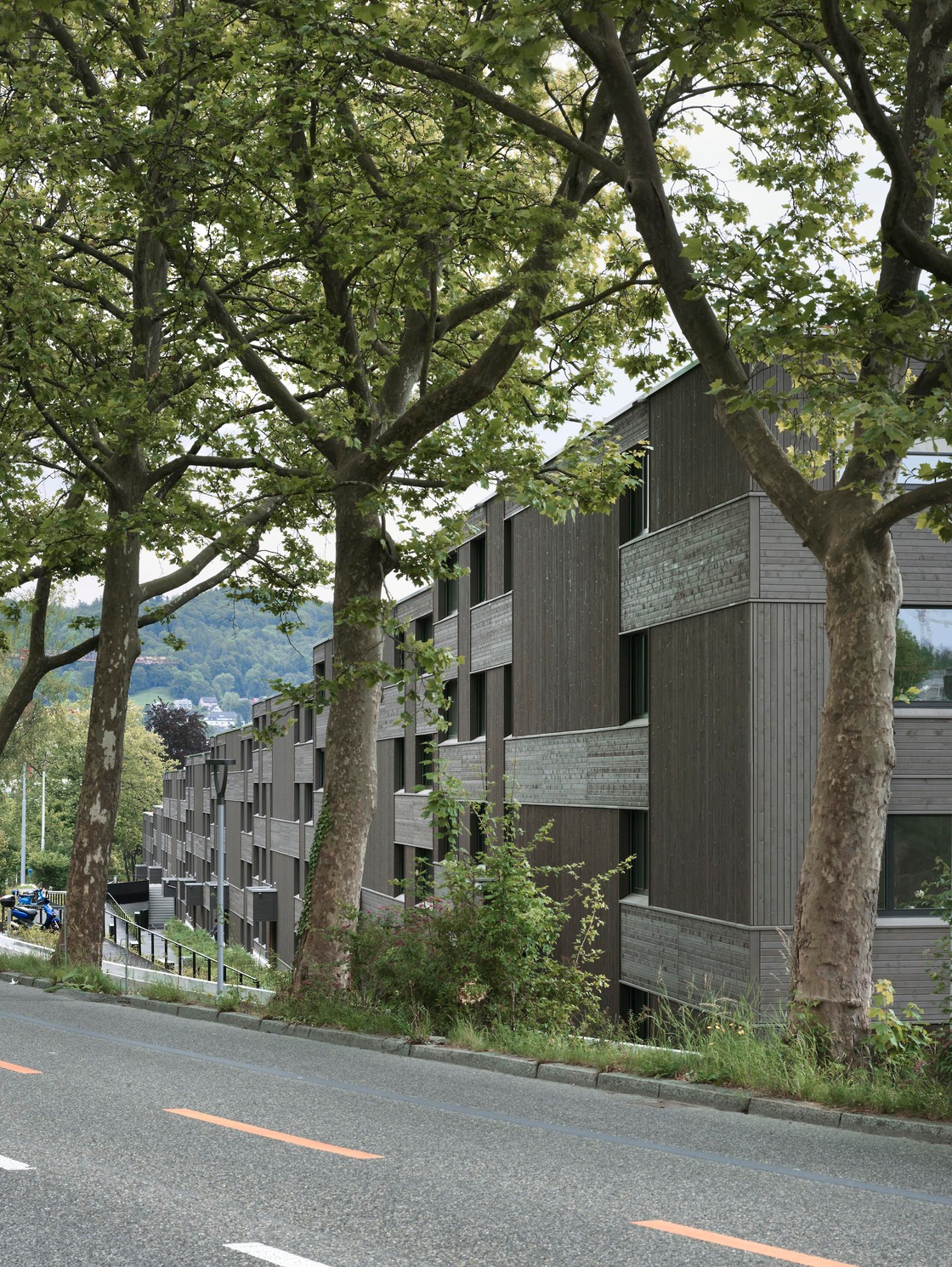 Ein Foto von Ruedi Walti