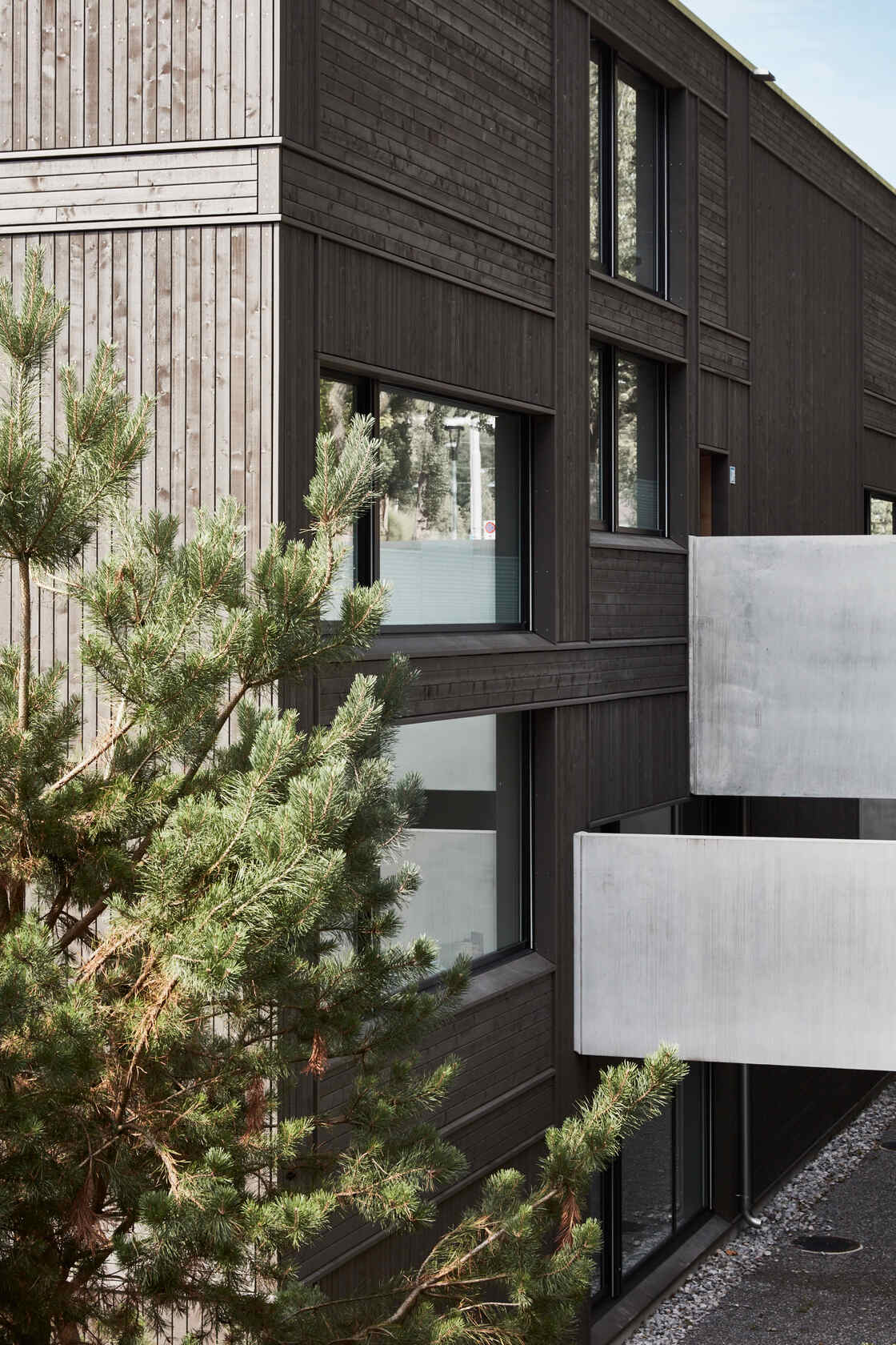 Ein Foto von Michael Blaser