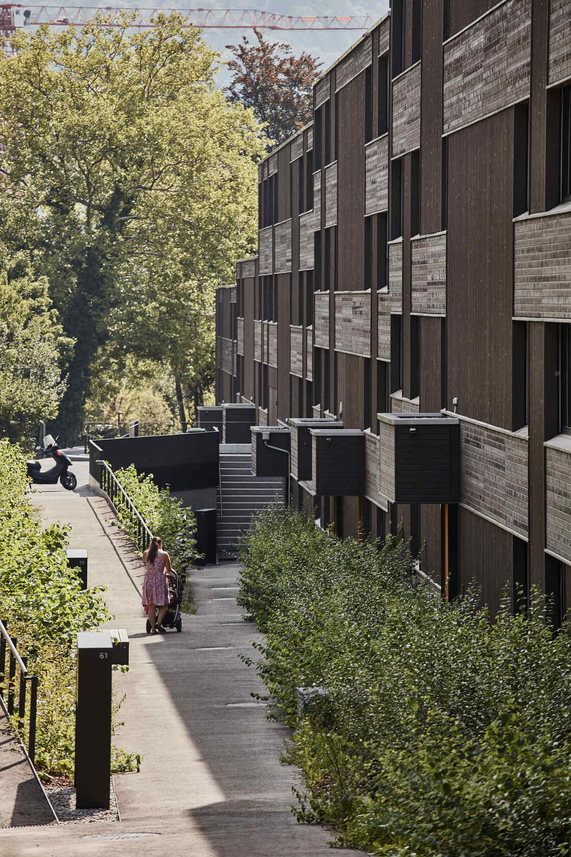 Ein Foto von Michael Blaser