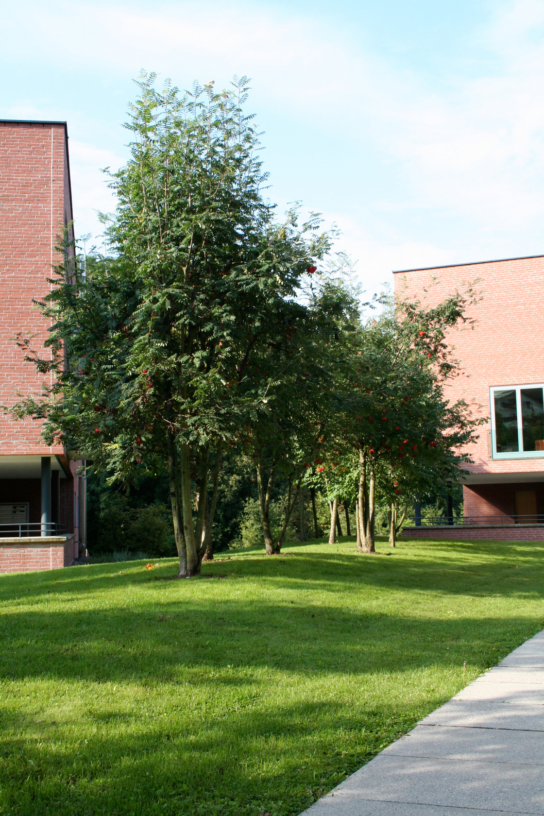 Ein Foto von Barbara Bacher