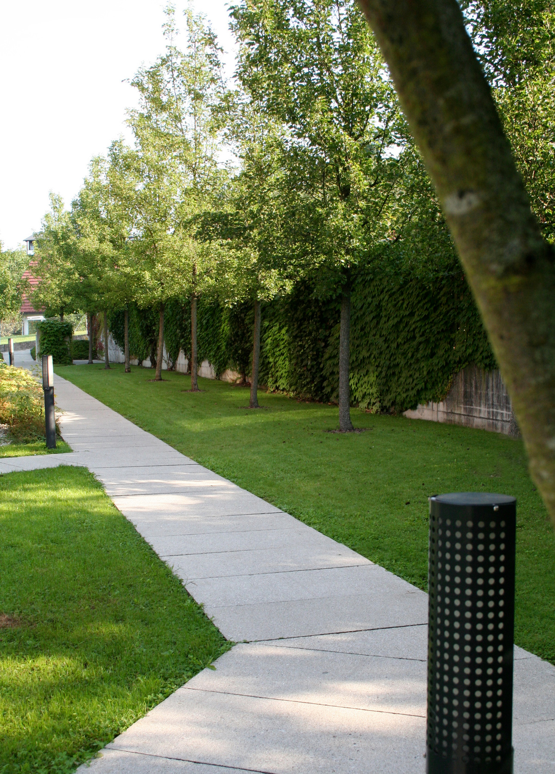 Ein Foto von Barbara Bacher