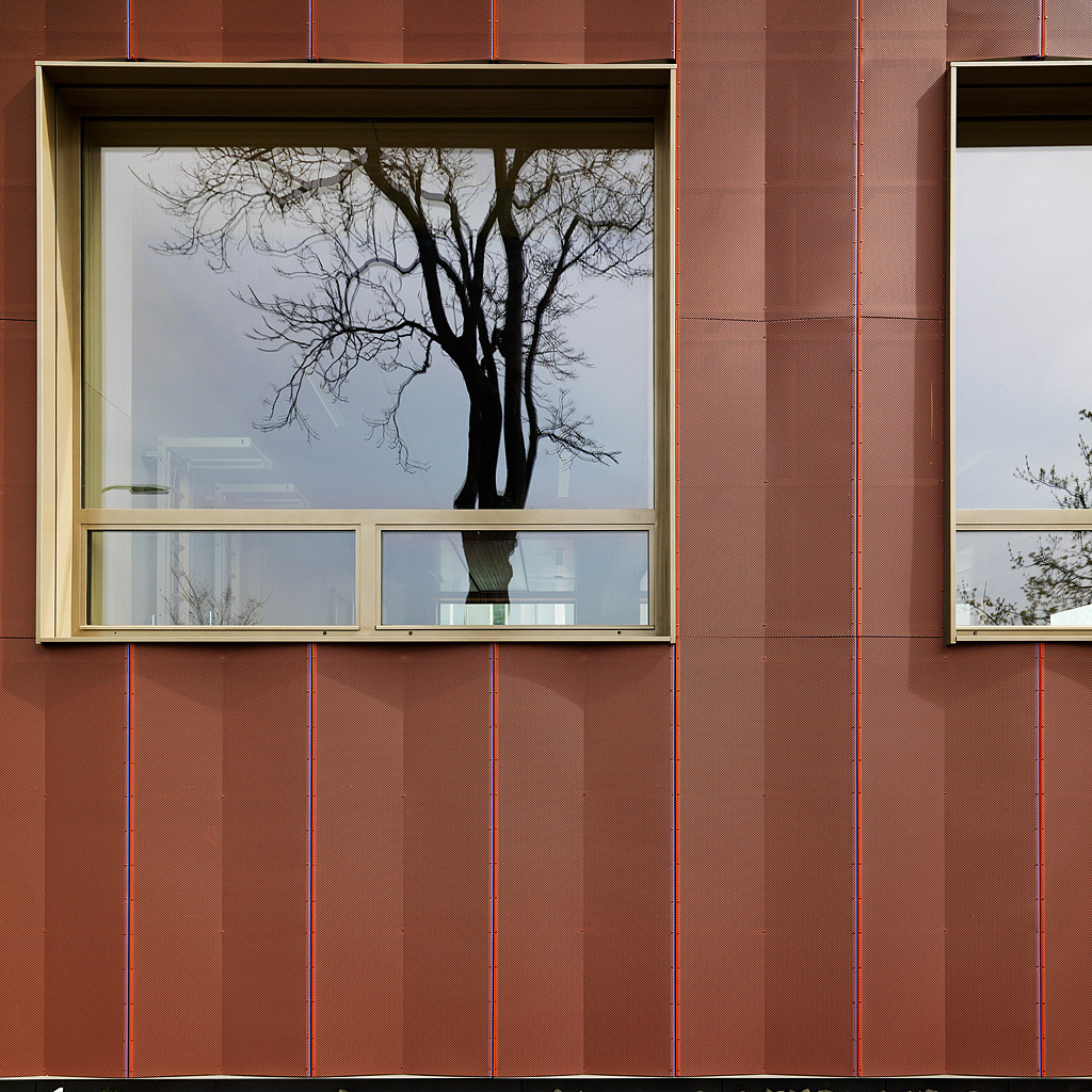 Ein Foto von Paul Ott