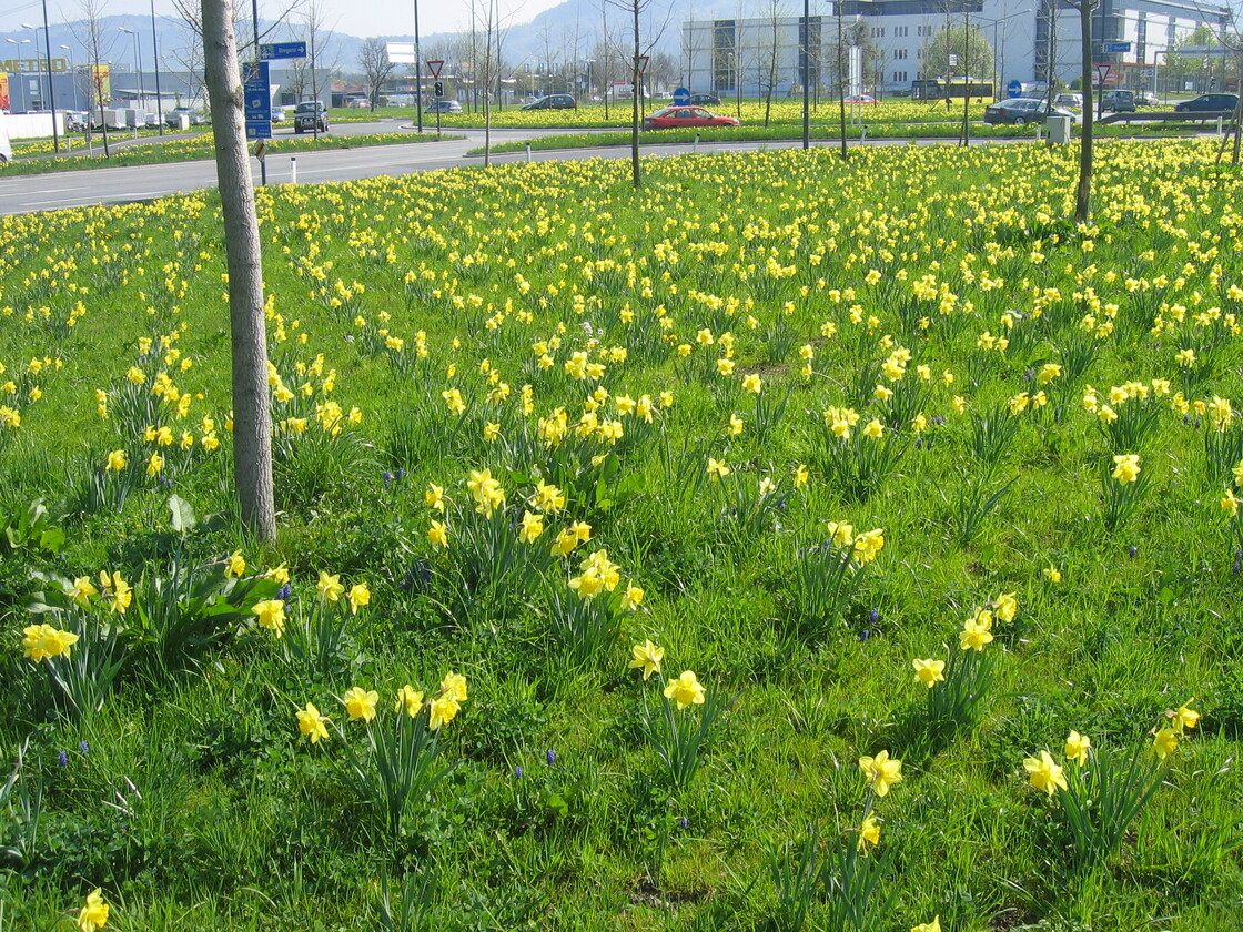 Ein Foto von Thomas Loacker