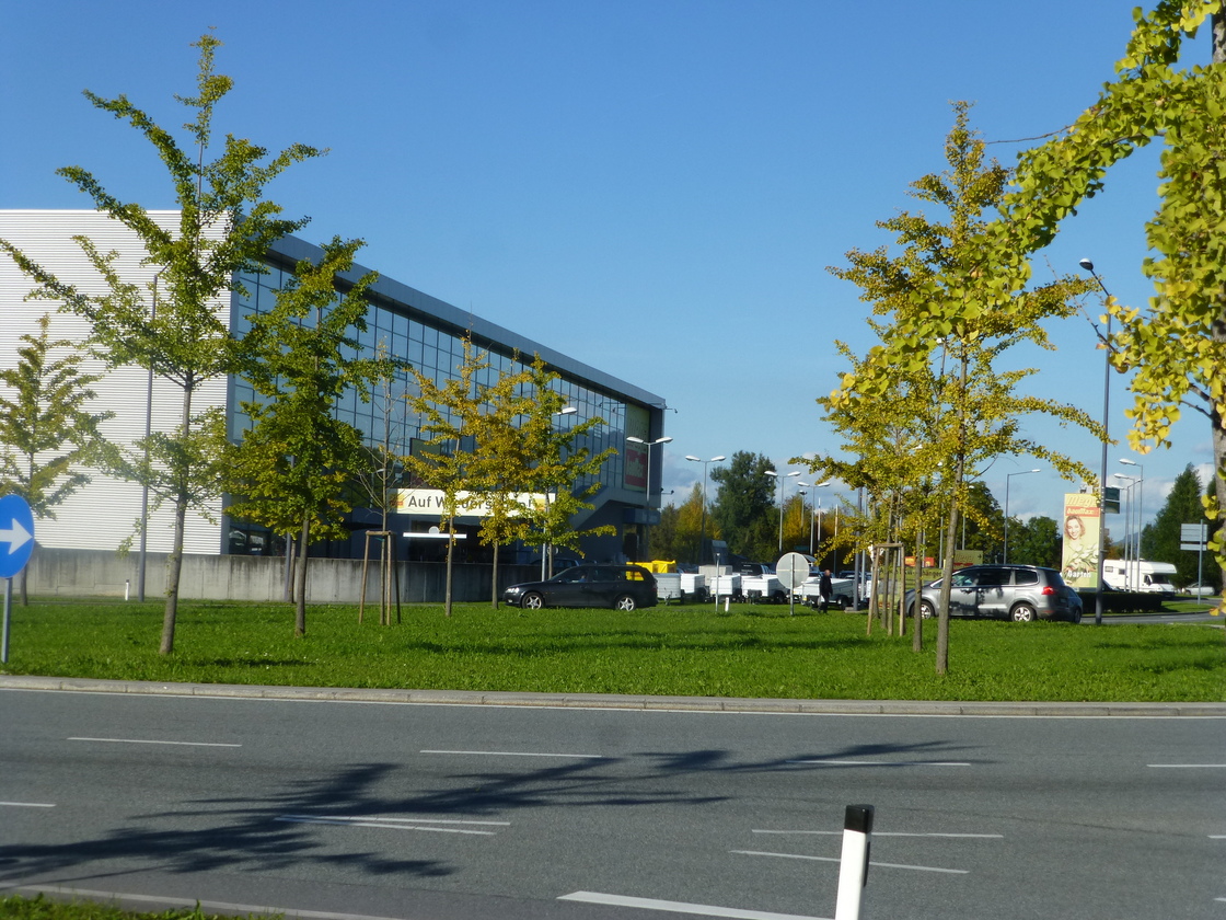 Ein Foto von Thomas Loacker