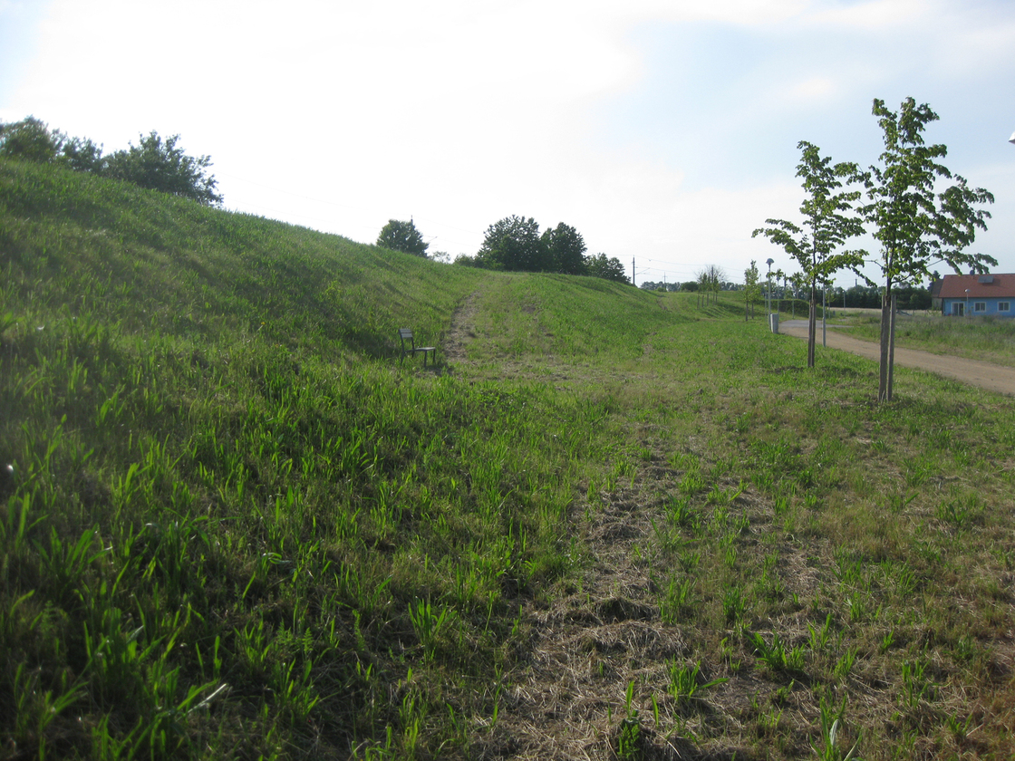 Ein Foto von Karl Grimm