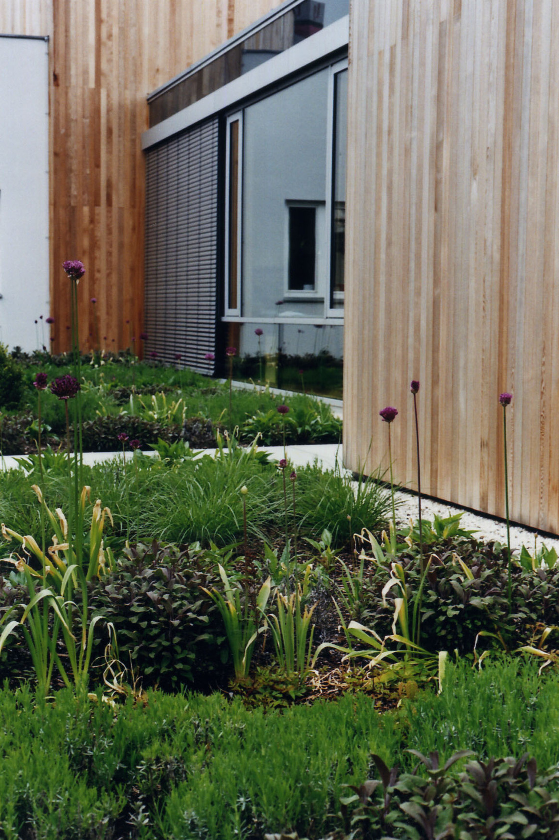 Ein Foto von Gabi Hanke