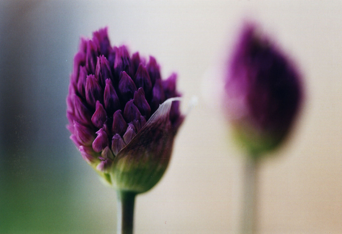 Ein Foto von Gabi Hanke