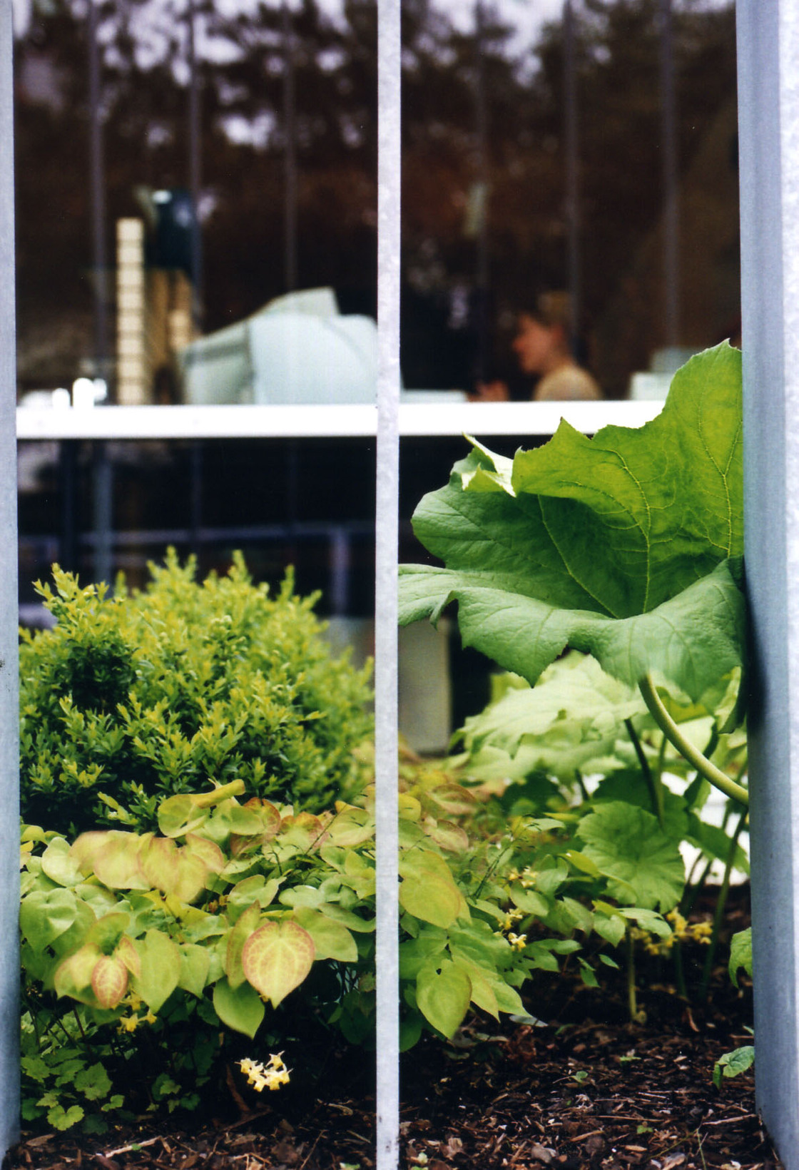 Ein Foto von Gabi Hanke