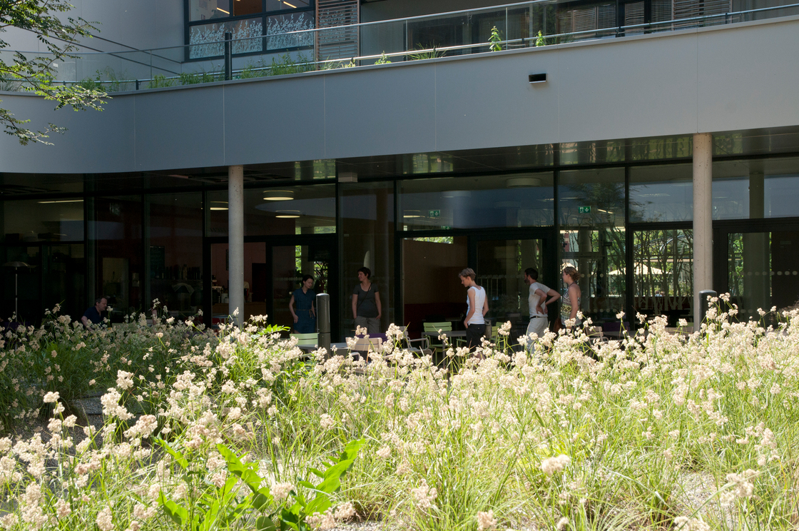 Ein Foto von rajek barosch landschaftsarchitektur
