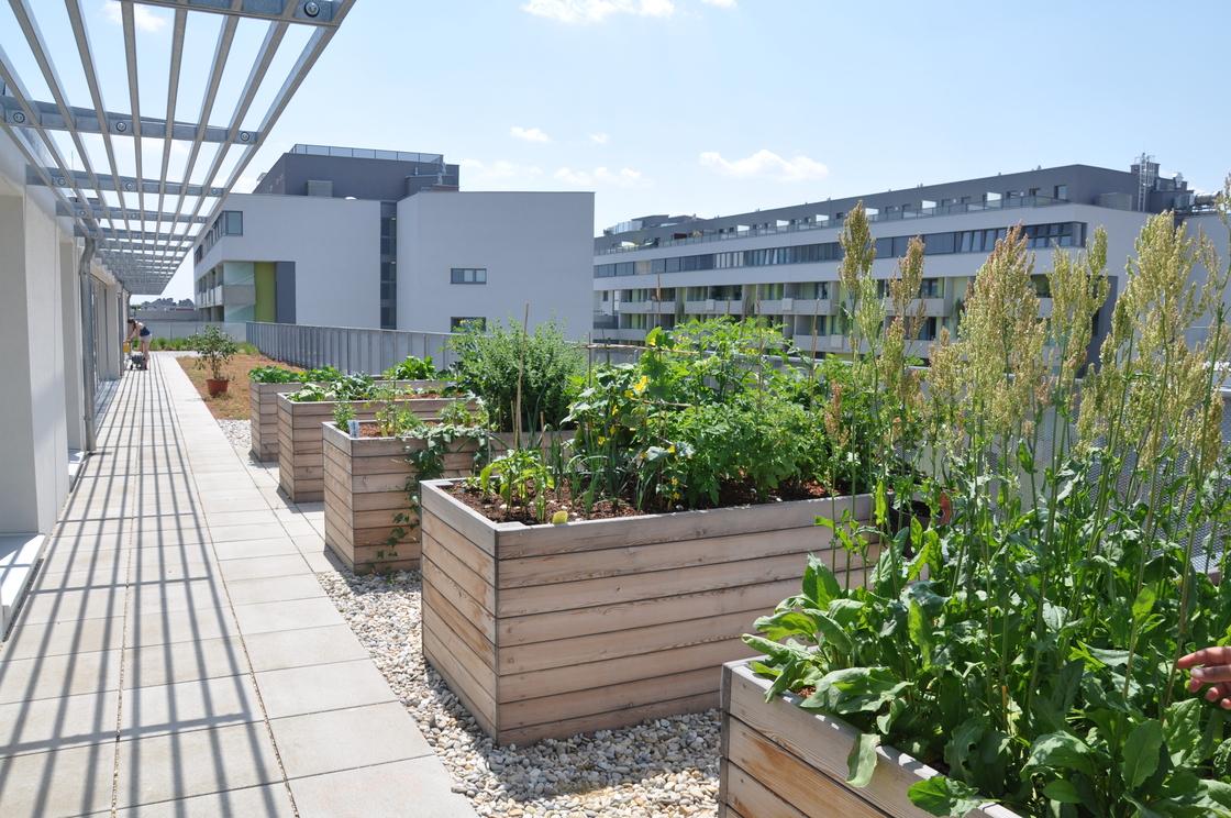 Ein Foto von Jakob Fina