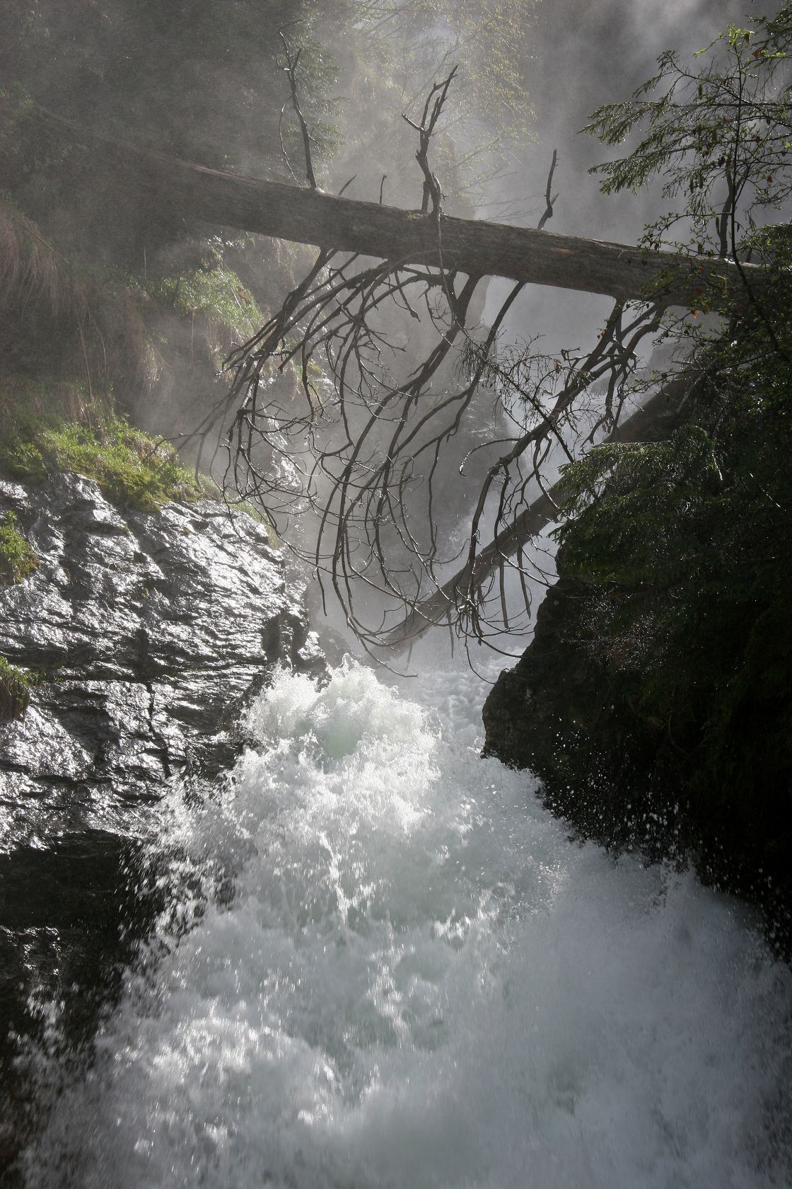 Ein Foto von Herbert Raffalt
