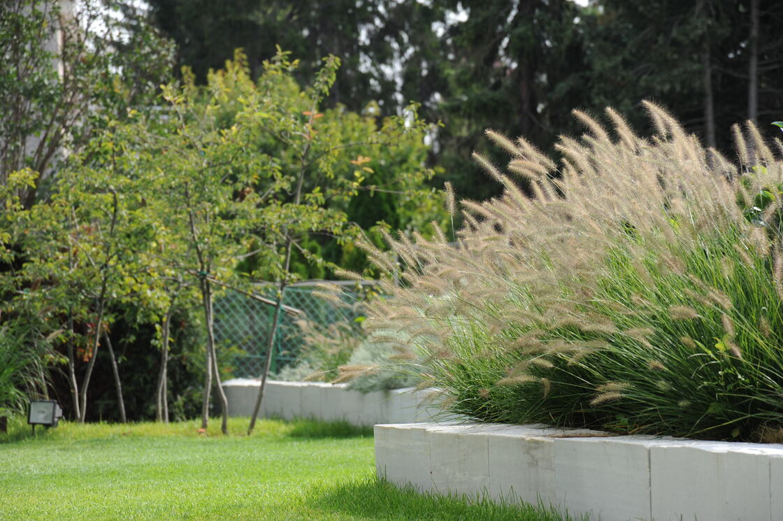 Ein Foto von Sabine Dessovic