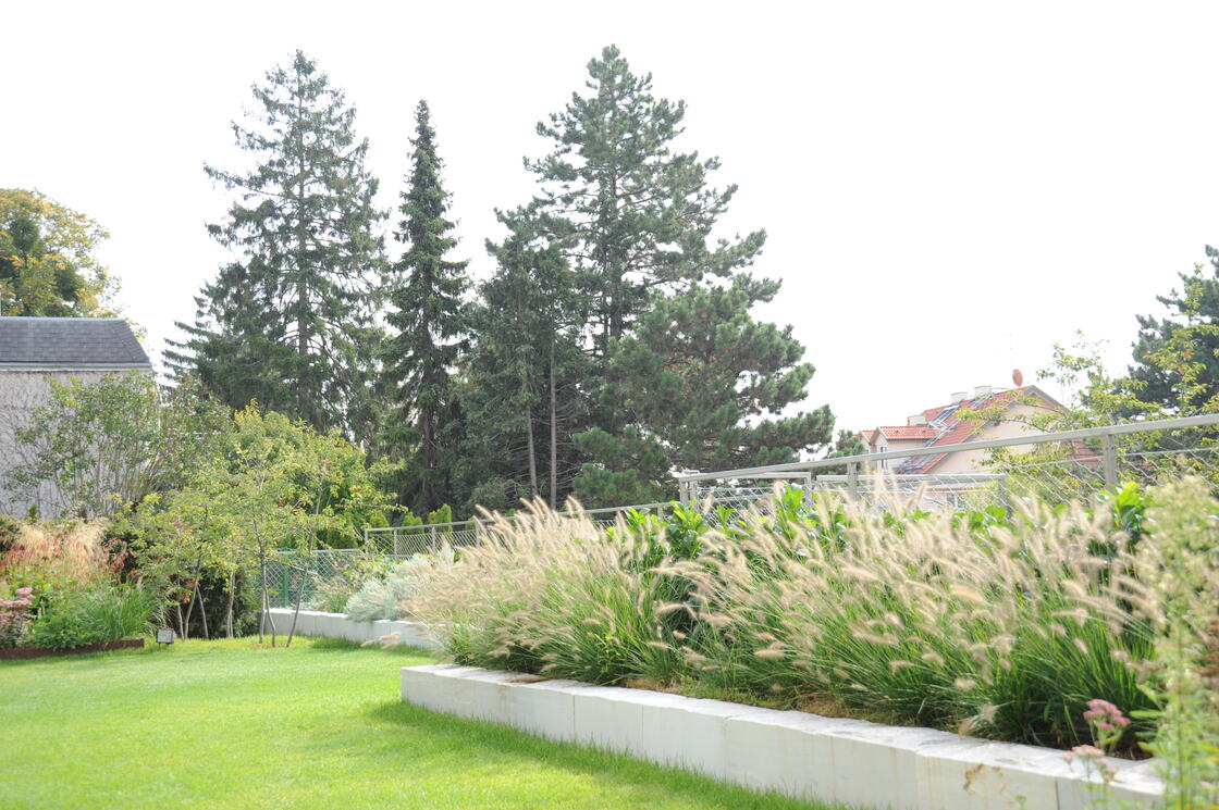 Ein Foto von Sabine Dessovic