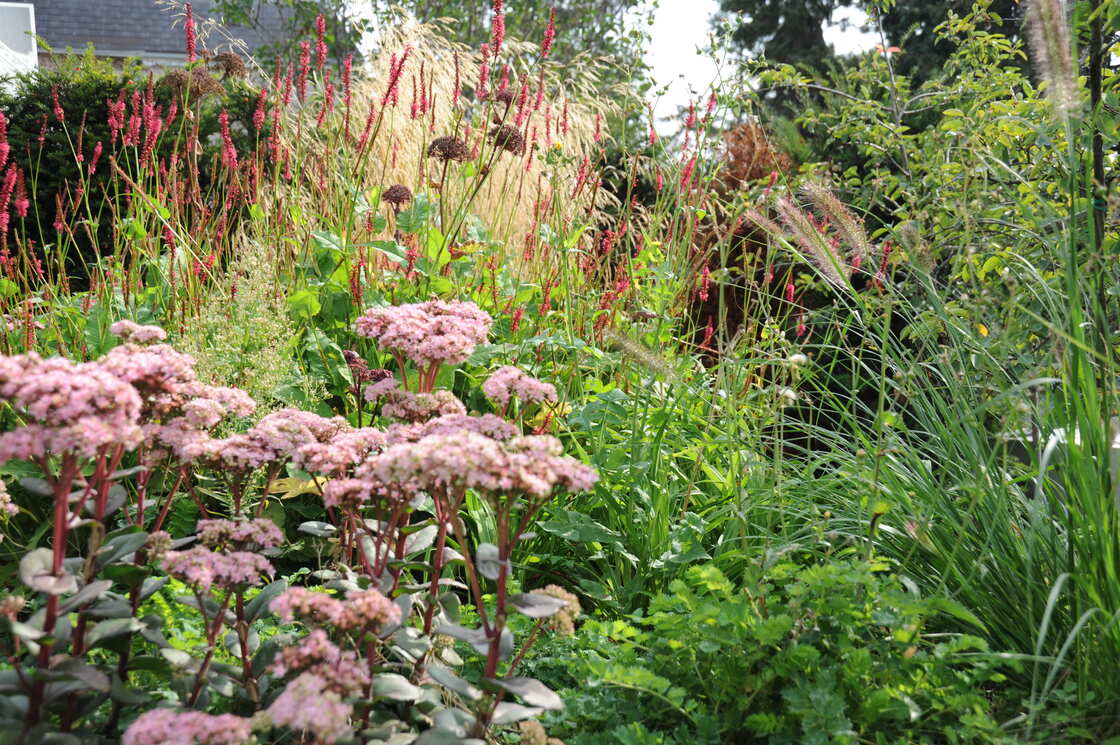 Ein Foto von Sabine Dessovic