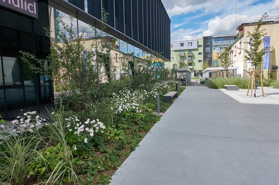 Ein Foto von Gertraud Monsberger