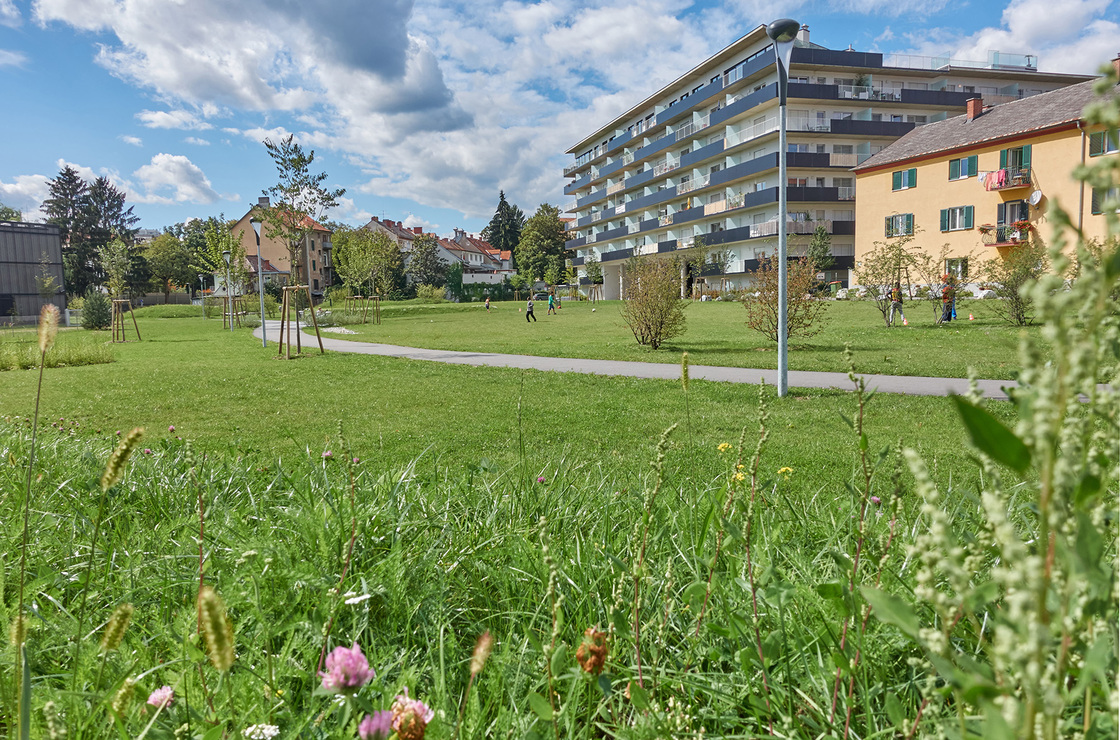 Ein Foto von Gertraud Monsberger