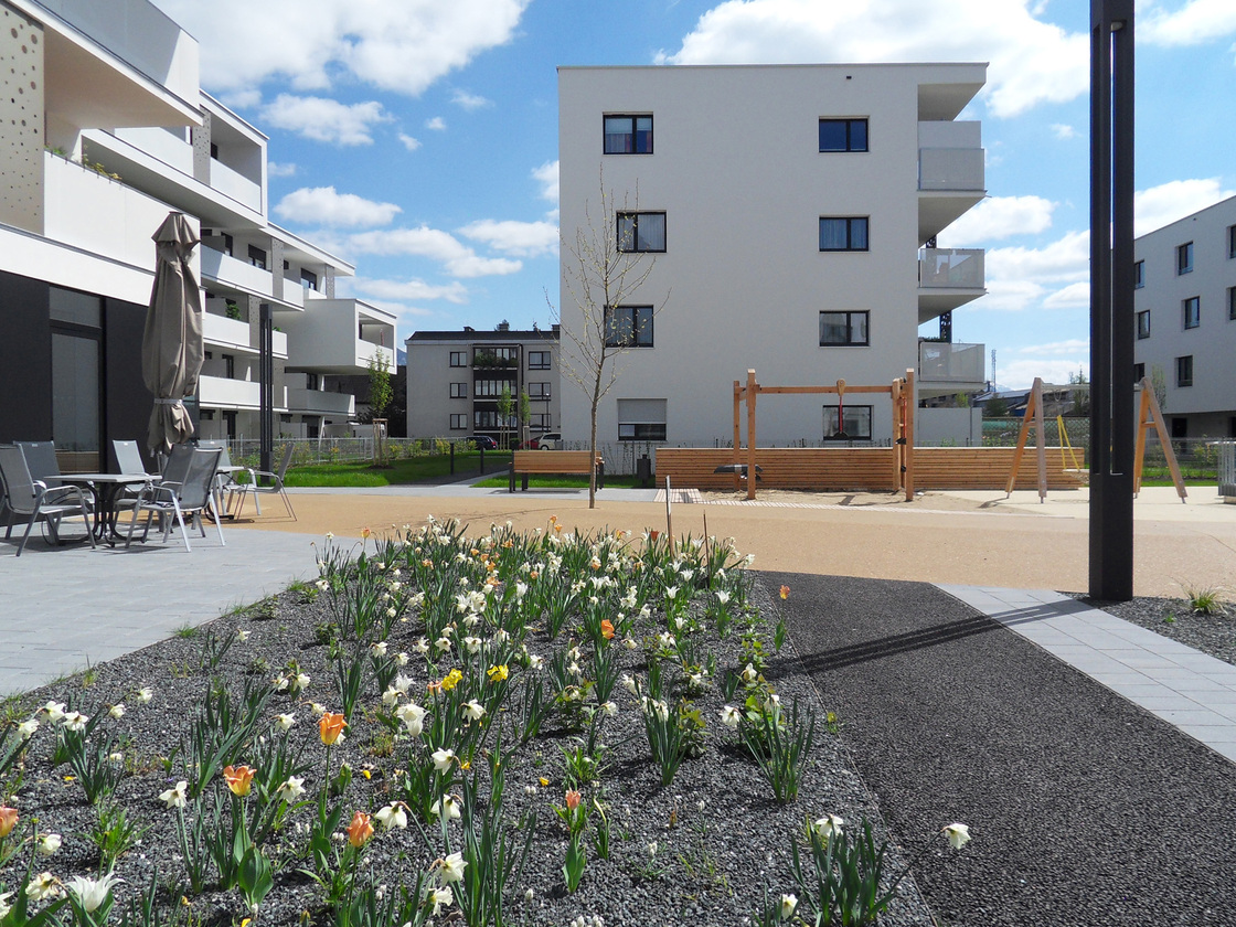 Ein Foto von Robert Wiener