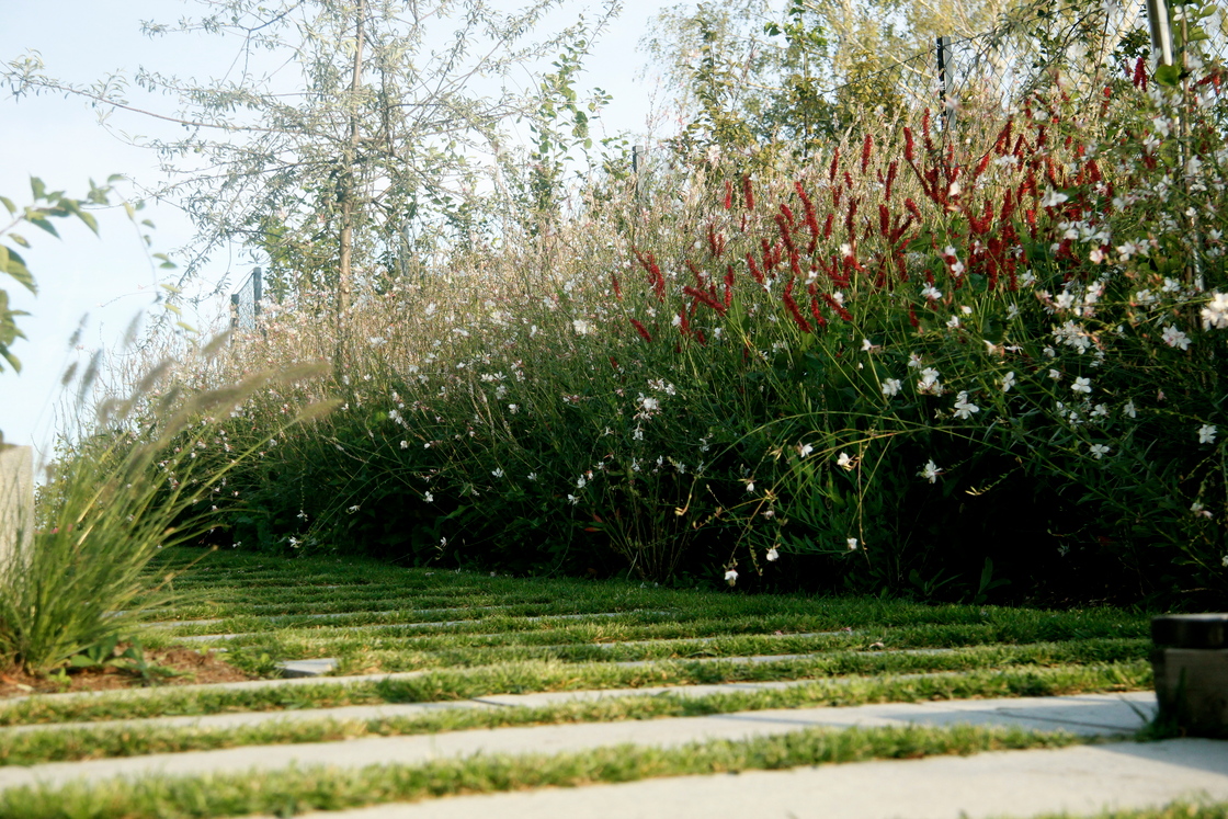 Ein Foto von 3:0 Landschaftsarchitektur