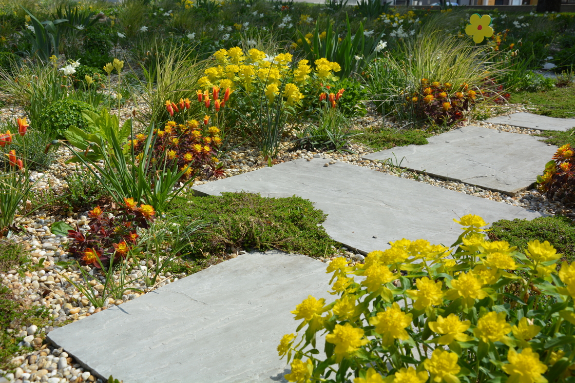 Ein Foto von Karl Hillebrand