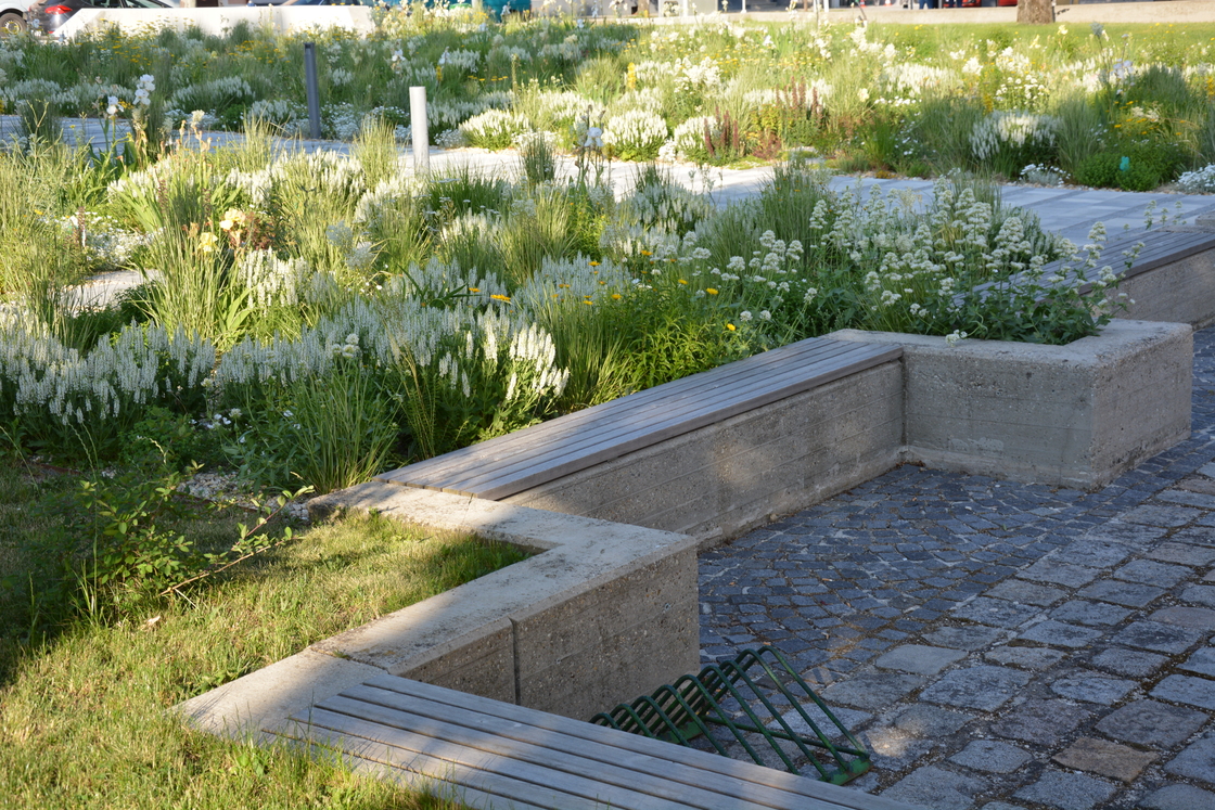 Ein Foto von Karl Hillebrand