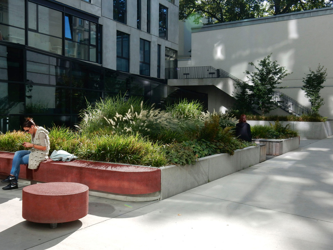 Ein Foto von Sonja Schwingesbauer