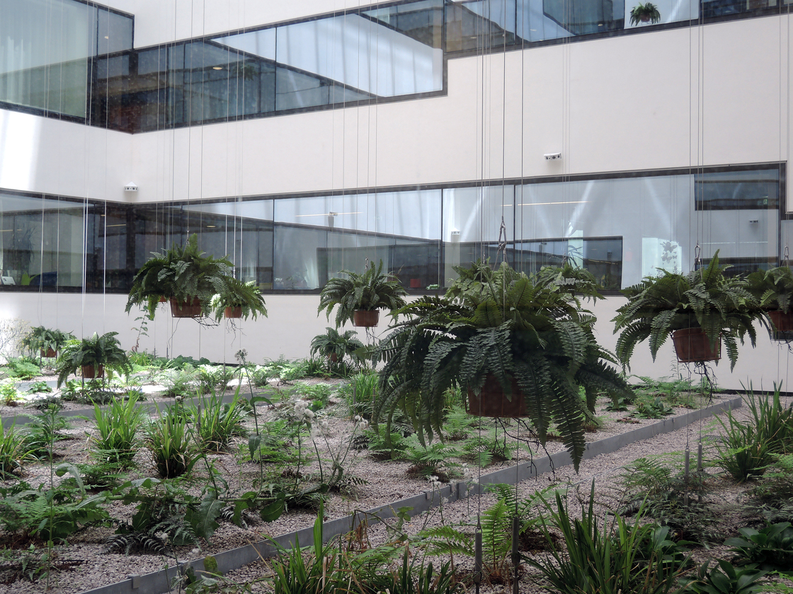 Ein Foto von rajek barosch landschaftsarchitektur