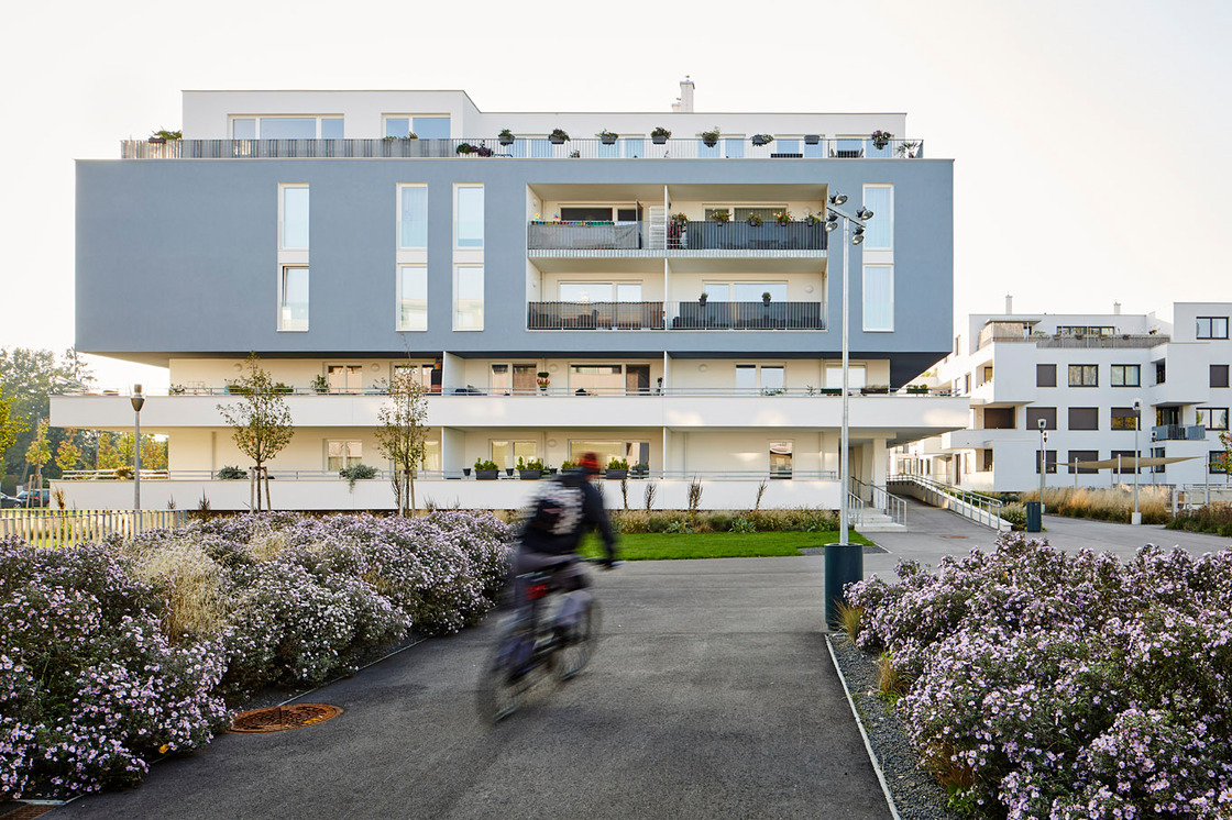 Ein Foto von Manfred Seidl