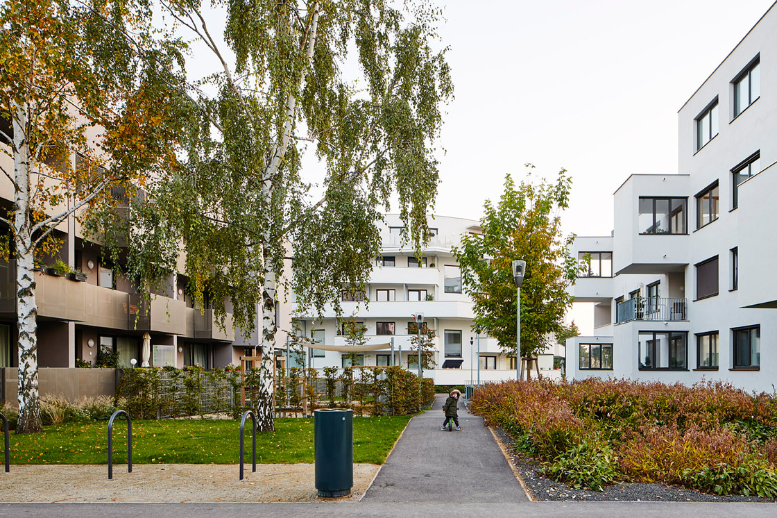 Ein Foto von Manfred Seidl