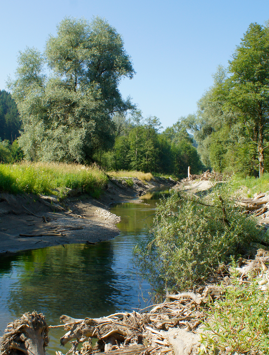 Ein Foto von freiland