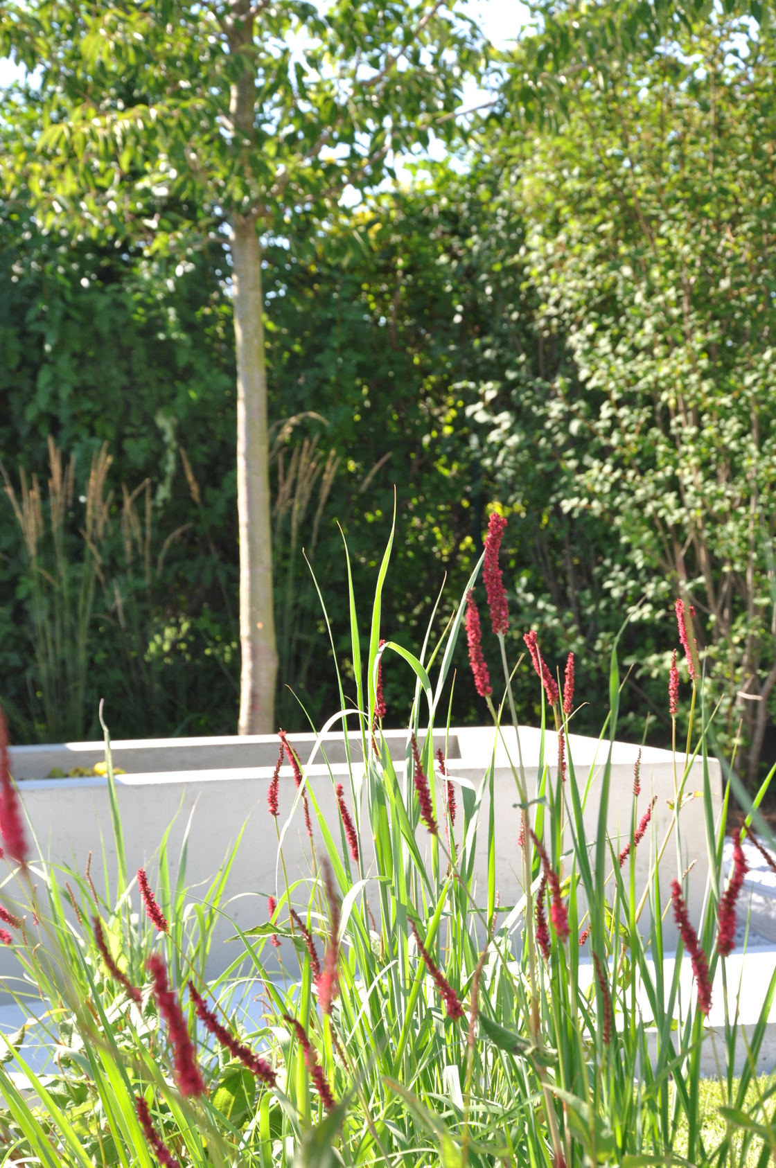 Ein Foto von 3:0 Landschaftsarchitektur