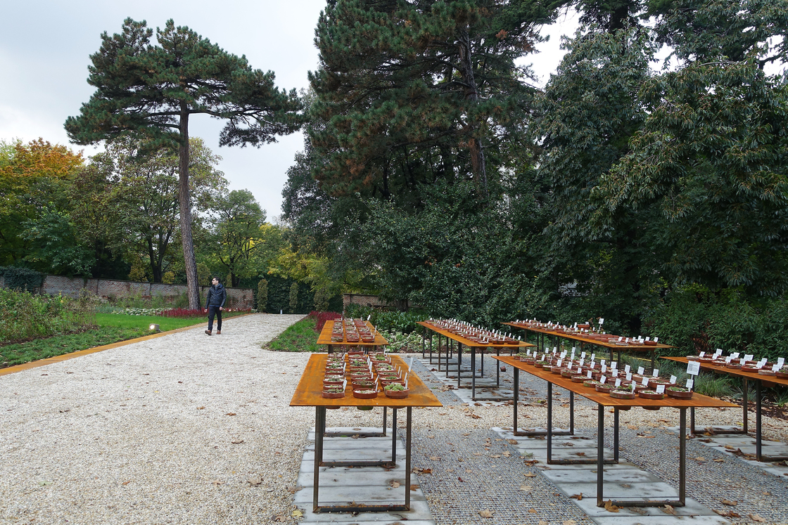 Ein Foto von 3:0 Landschaftsarchitektur