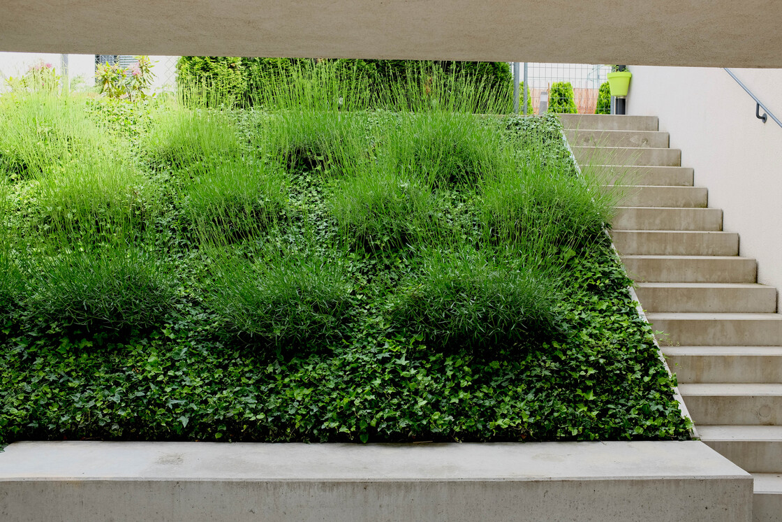 Ein Foto von Auböck+Kárász