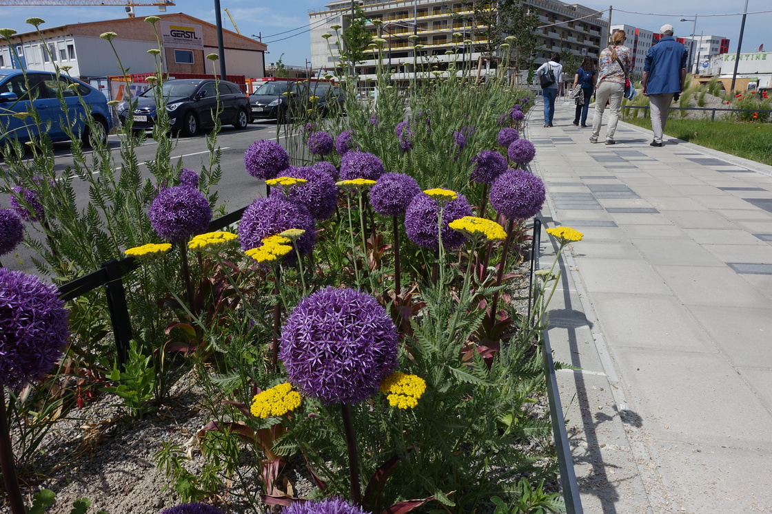 Ein Foto von 3:0 Landschaftsarchitektur
