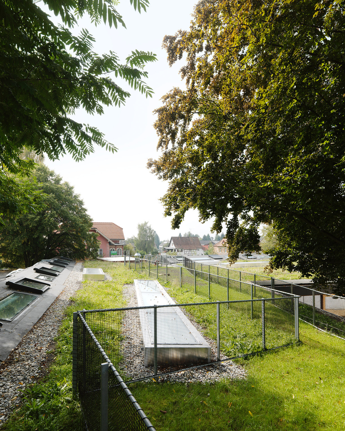 Ein Foto von Paul Ott