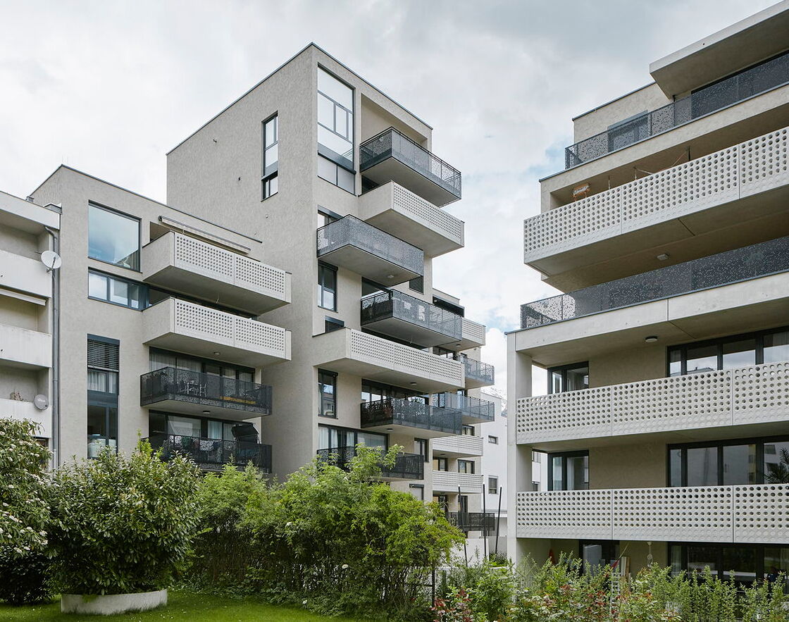 Ein Photo von David Schreyer