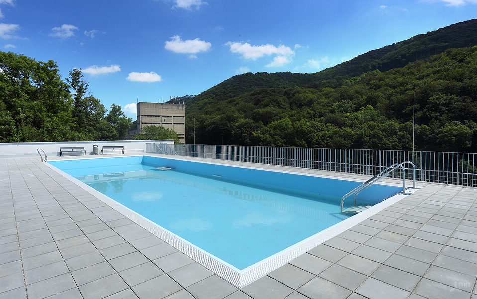 Ein Foto von Michael Hierner