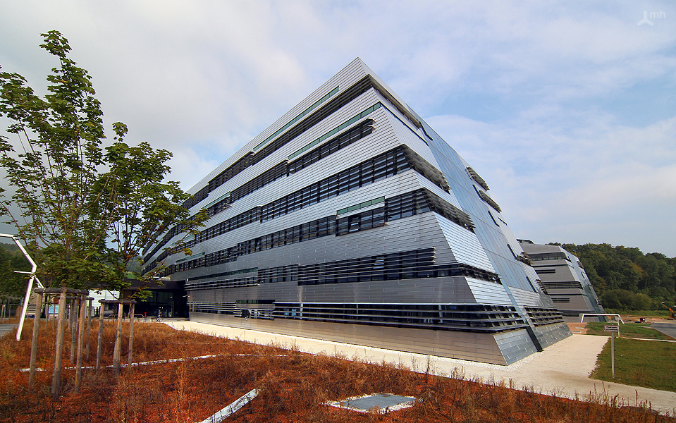 Ein Foto von Michael Hierner