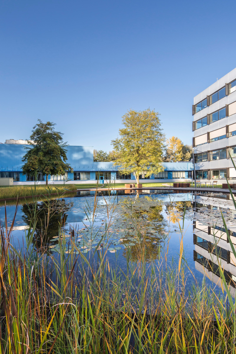 Ein Foto von Petra Rainer