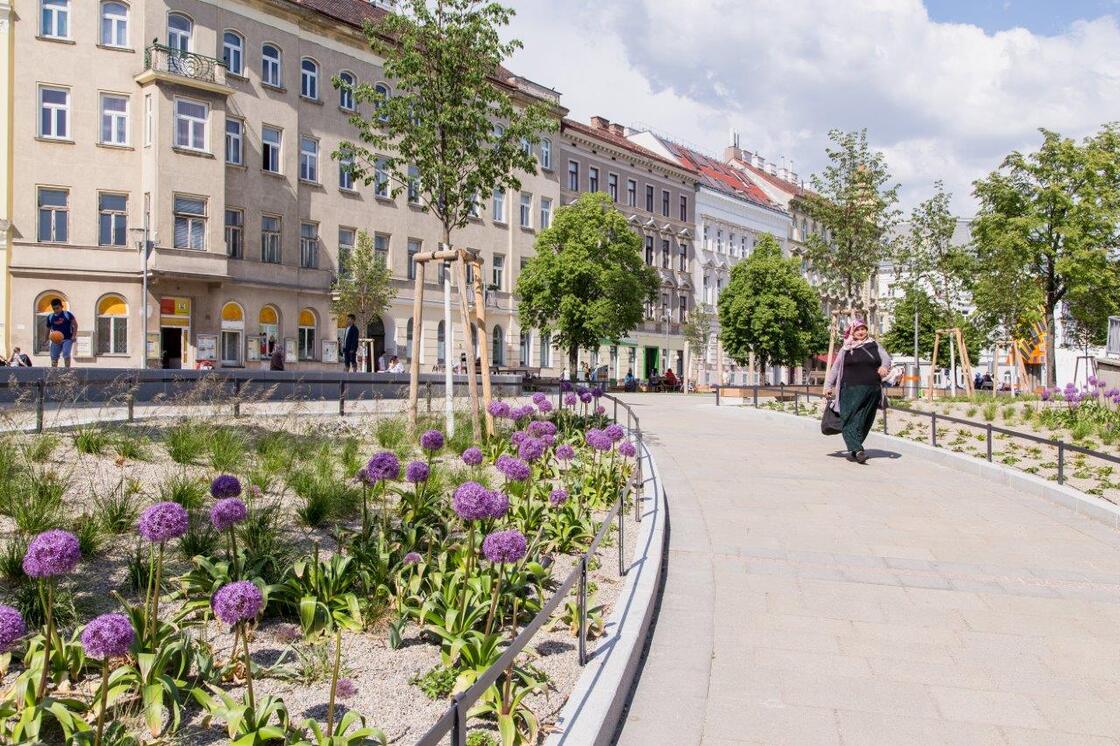 Ein Foto von Petra Panna Nagy