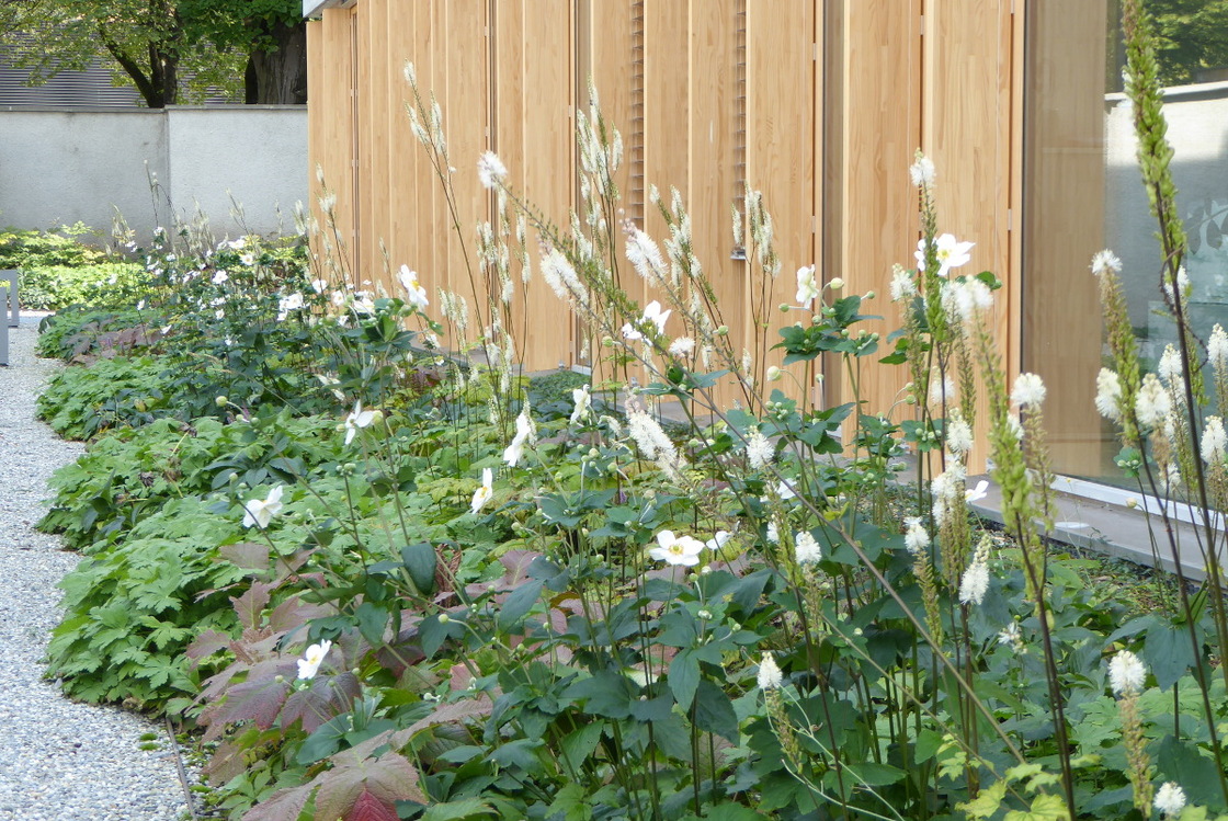 Ein Foto von Maria Anna Schneider-Moosbrugger