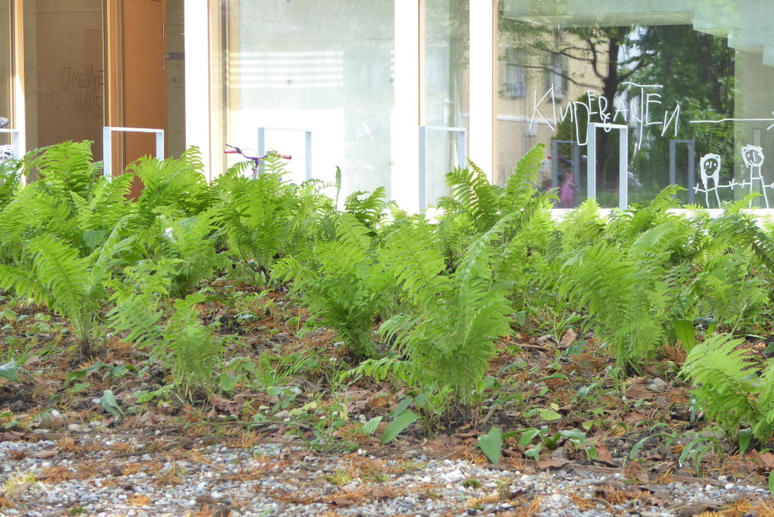 Ein Foto von Maria Anna Schneider-Moosbrugger