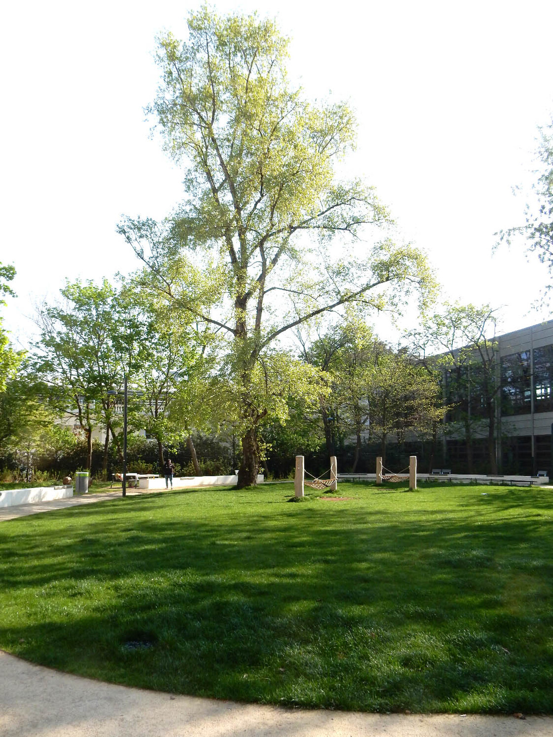 Ein Foto von Sonja Schwingesbauer