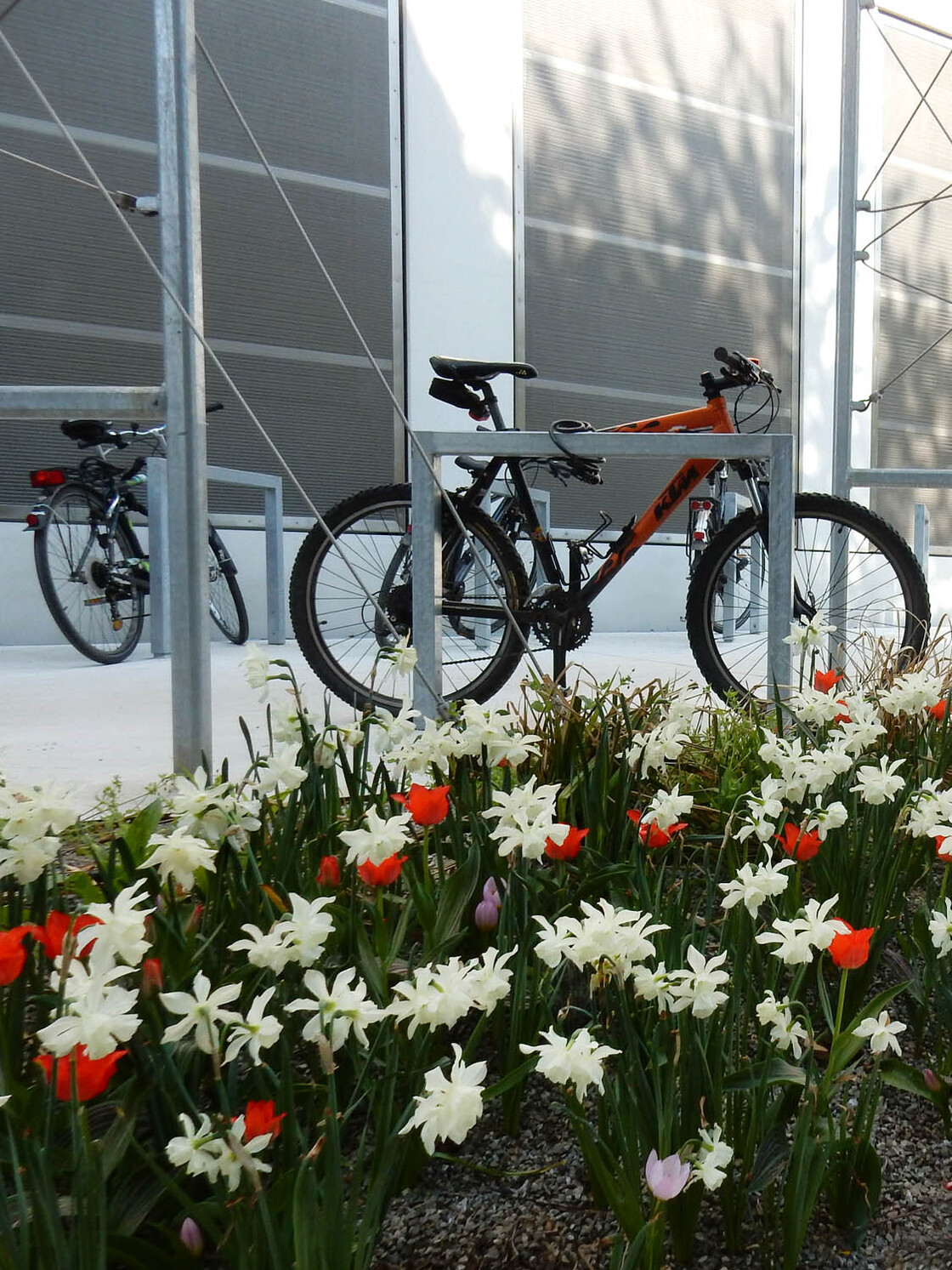 Ein Foto von Sonja Schwingesbauer