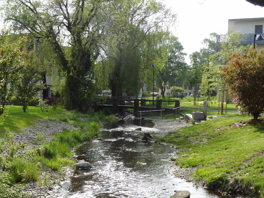 Ein Foto von Maria Anna Schneider-Moosbrugger