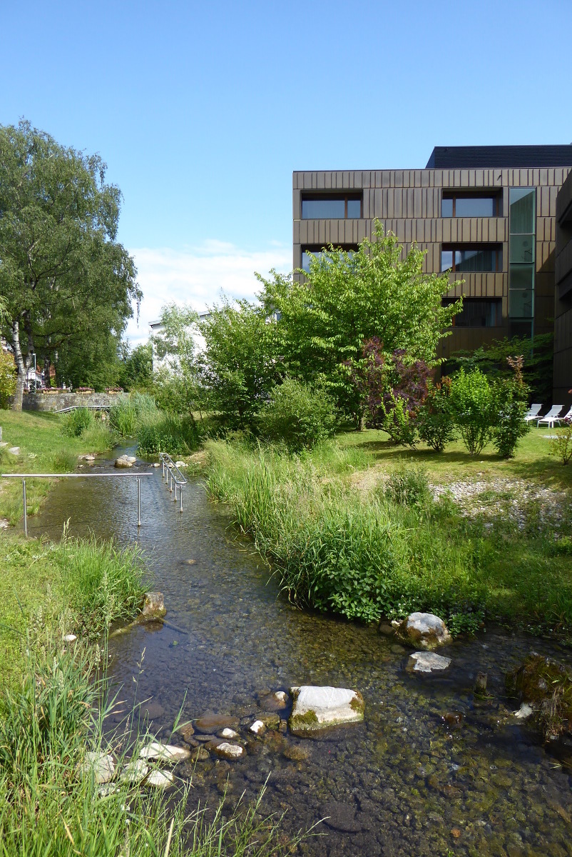 Ein Foto von Maria Anna Schneider-Moosbrugger