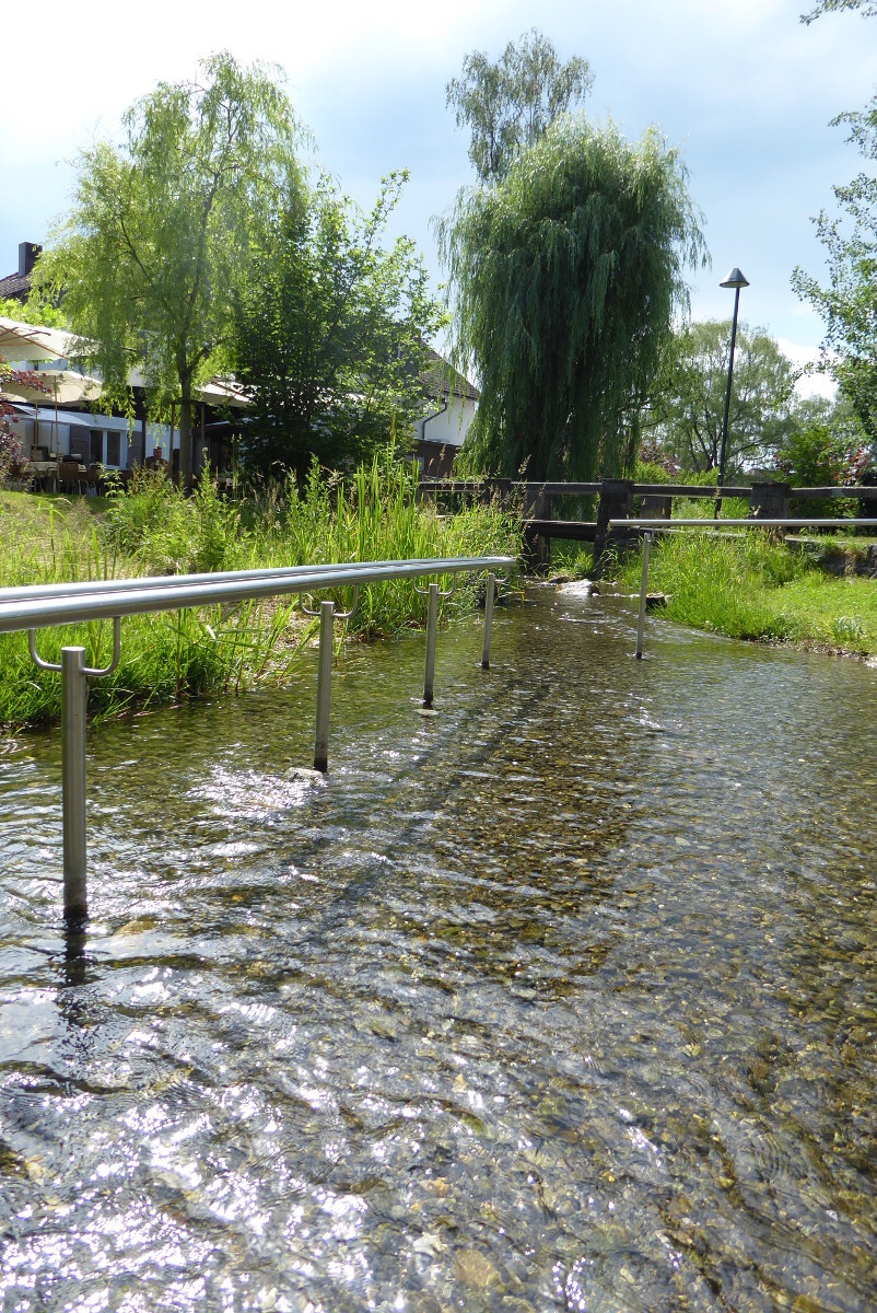 Ein Foto von Maria Anna Schneider-Moosbrugger