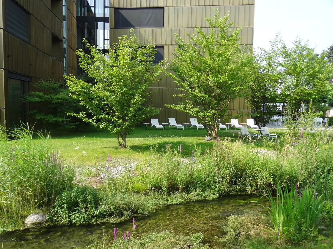 Ein Foto von Maria Anna Schneider-Moosbrugger